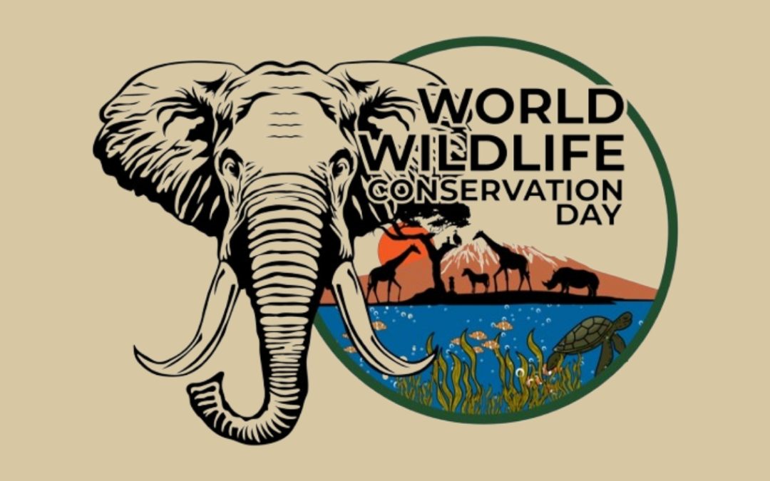 World Wildlife Conservation Day Race